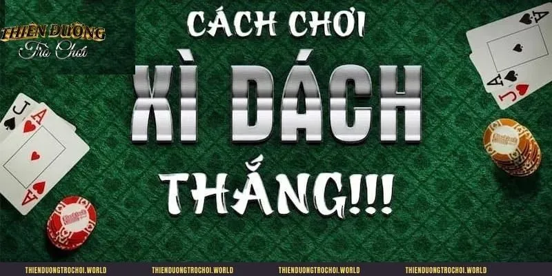 Quy định mà hội viên nên tuân theo để dễ thắng